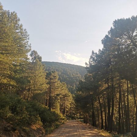 Вилла Bonita Casa En El Bosque - Эль-Тьембло Экстерьер фото