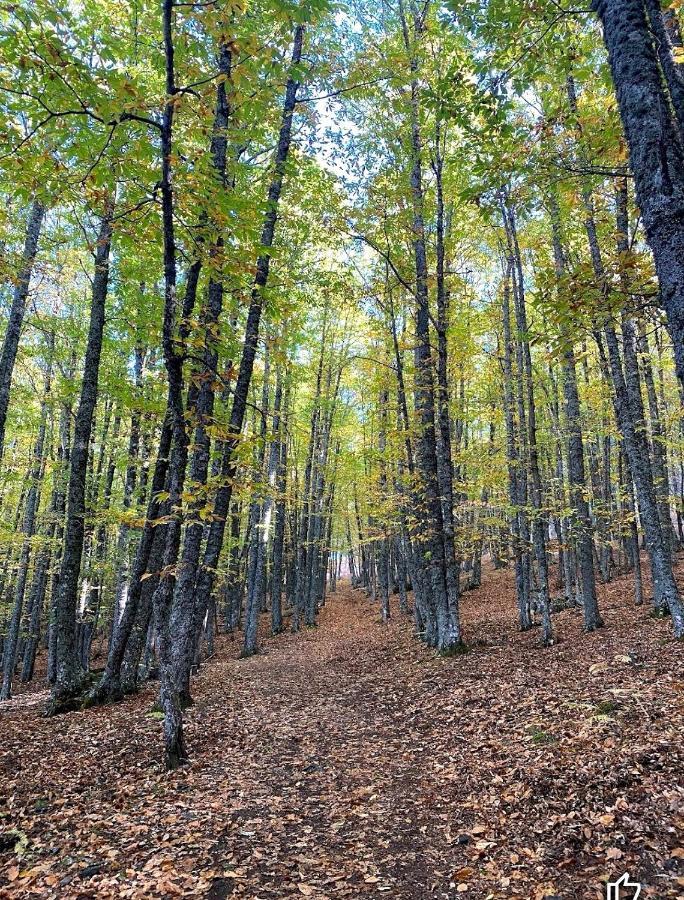 Вилла Bonita Casa En El Bosque - Эль-Тьембло Экстерьер фото