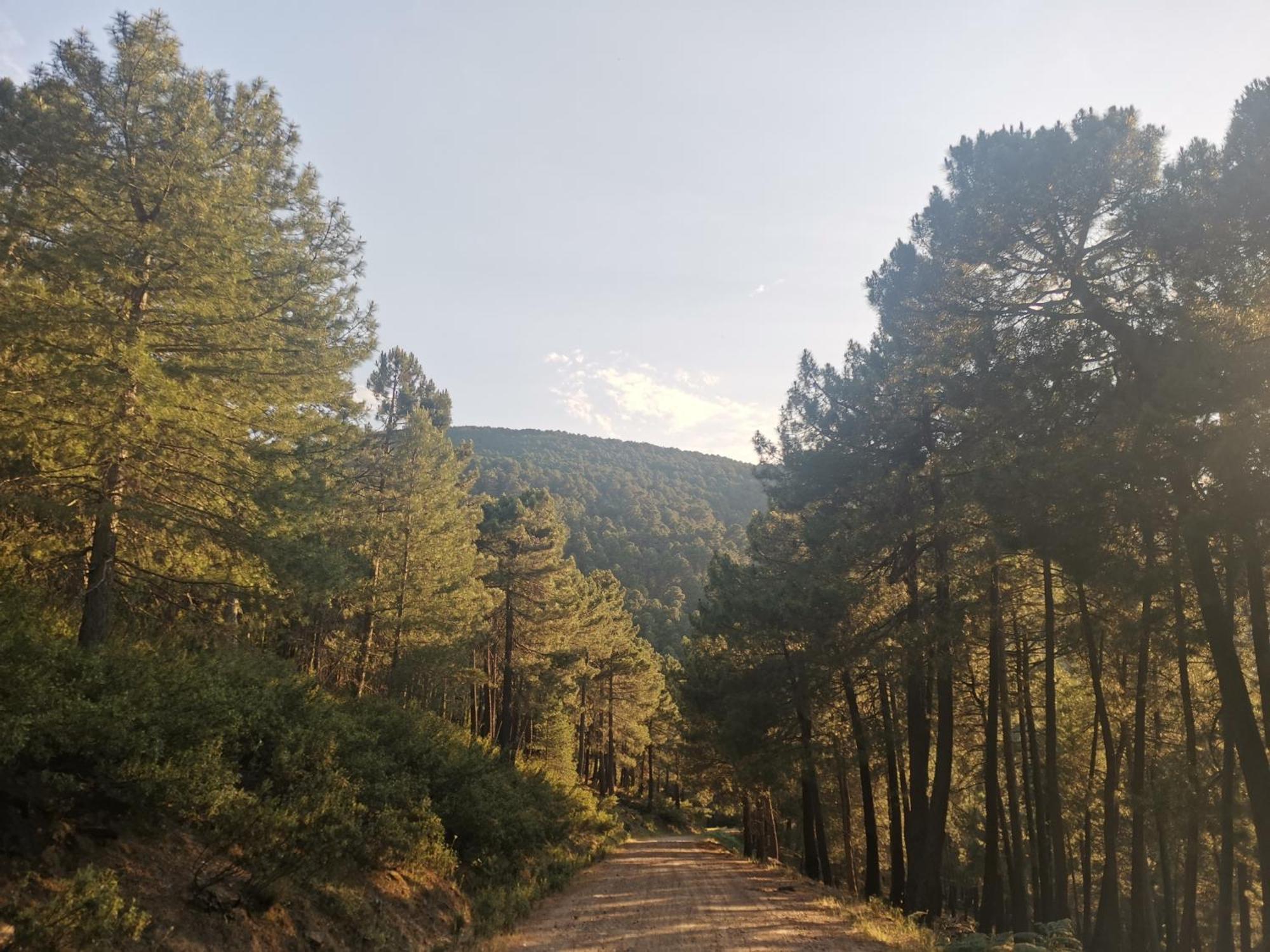 Вилла Bonita Casa En El Bosque - Эль-Тьембло Экстерьер фото